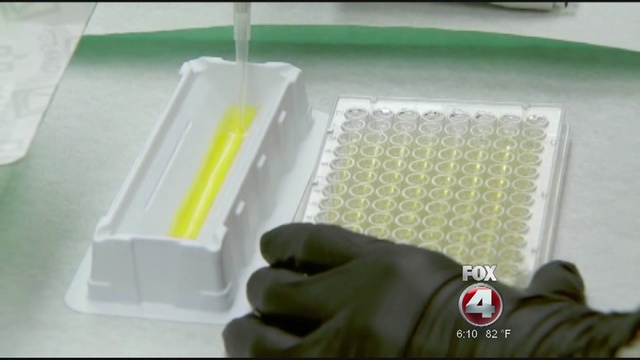 Zika virus has many Americans rethinking fall travel to Florida