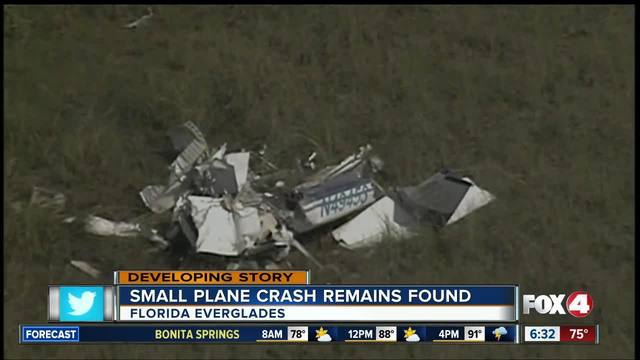 Alligator rips apart, eats plane crash victim in awful footage Alligator rips apart, eats plane crash victim in awful footage