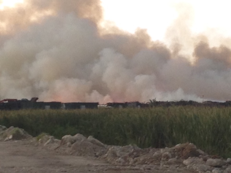 Mulch fire burns in Collier County Fox 4 Now WFTX Fort Myers/Cape Coral