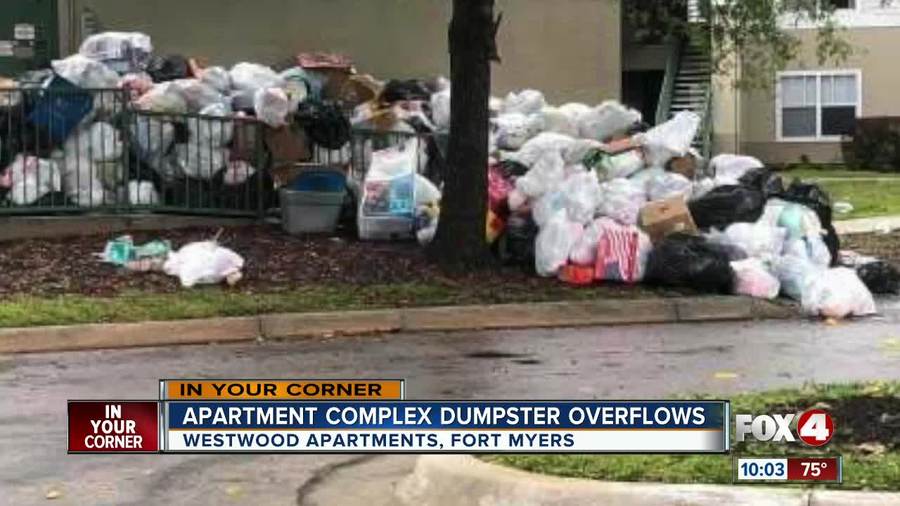 Trash piling up at Fort Myers apartment complex Fox 4 Now WFTX Fort
