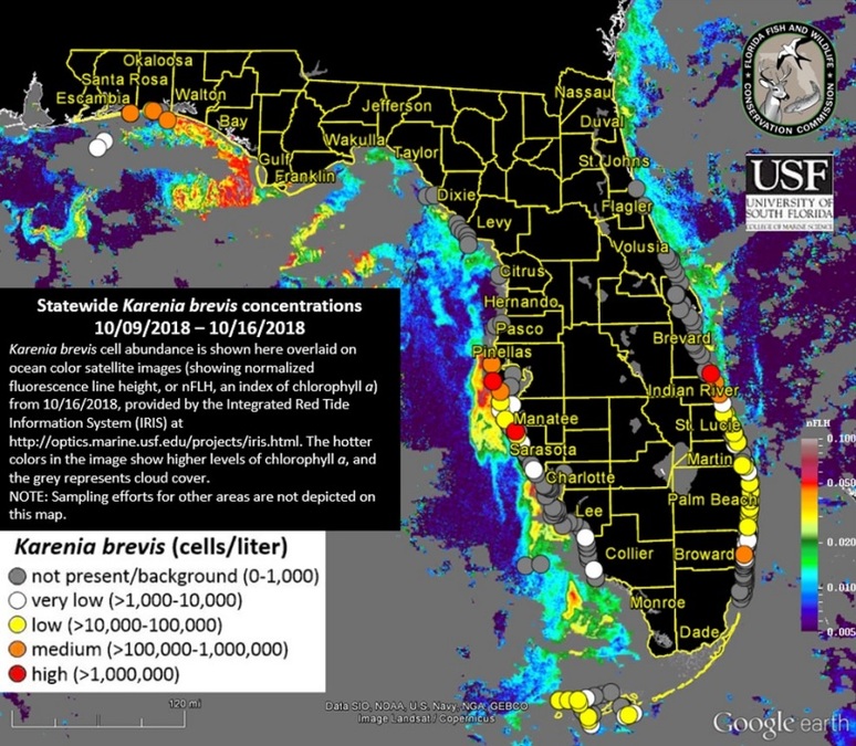 Local Tide Charts Florida